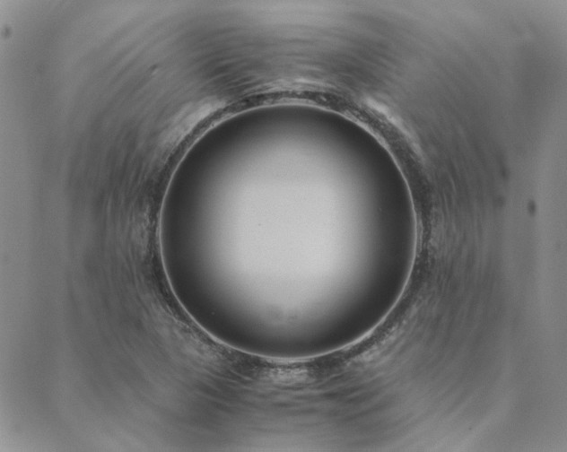 X0000089711313200706211333