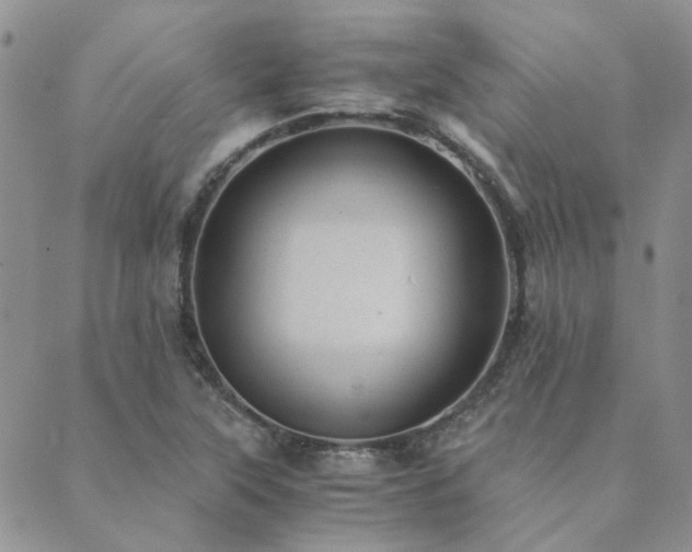 X0000089711315200706211333