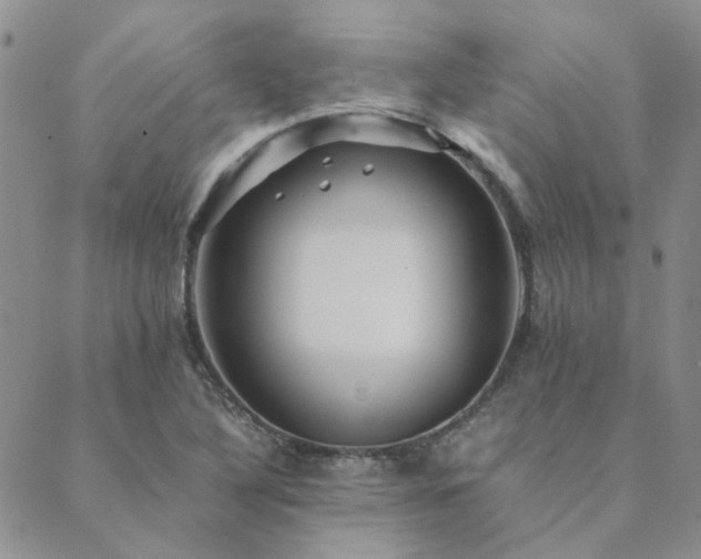 X0000089711316200706211333