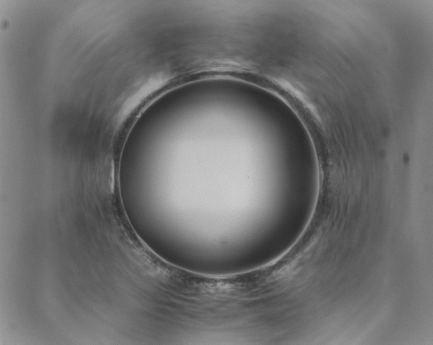 X0000089711317200706211333