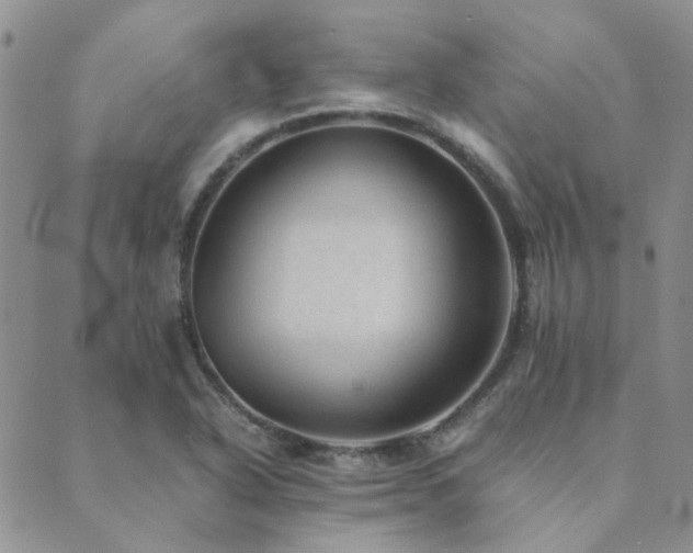 X0000089711318200706211333