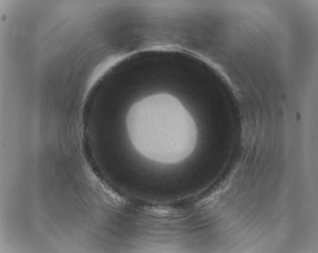 X0000089711319200706211333