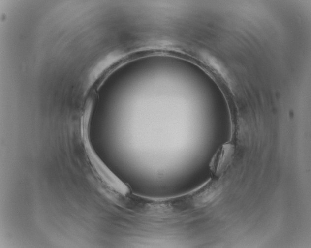 X0000089711320200706211333