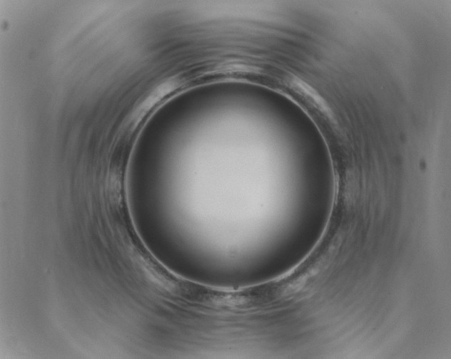 X0000089711321200706211333