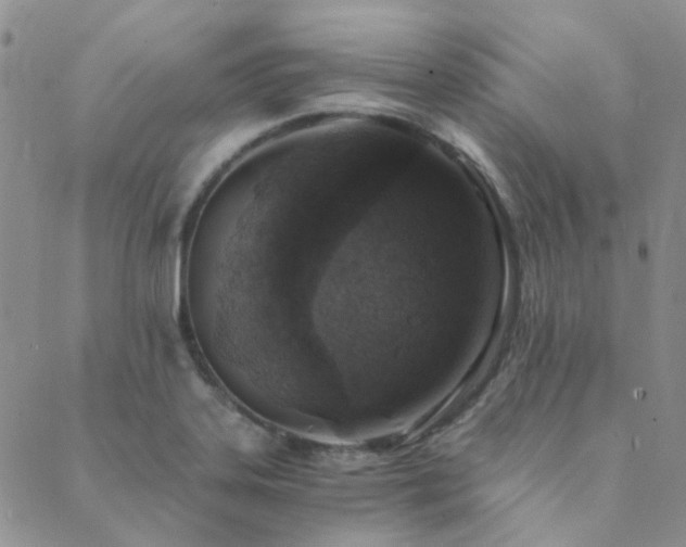 X0000089711323200706211333