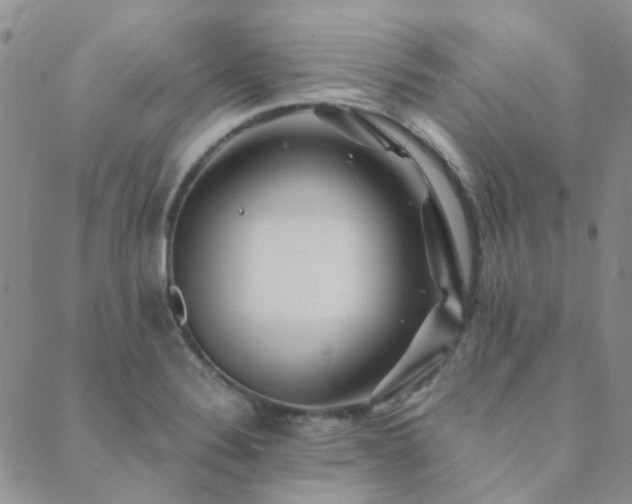 X0000089711324200706211333