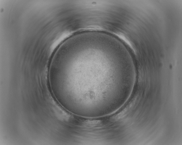 X0000089711325200706211333