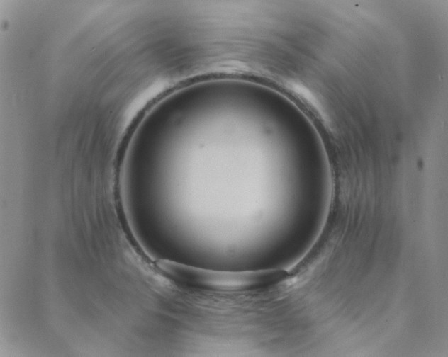 X0000089711326200706211333