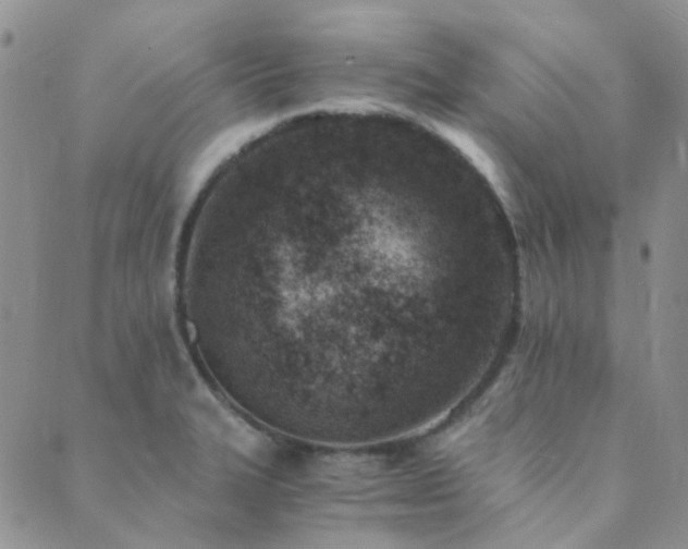 X0000089711327200706211333