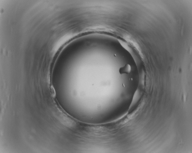 X0000089711328200706211333