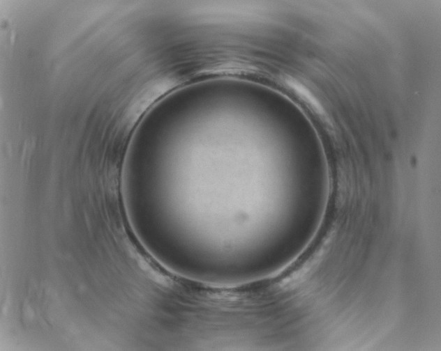 X0000089711329200706211333