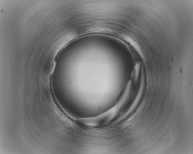 X0000089711330200706211333