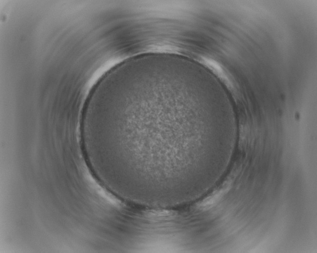 X0000089711331200706211333