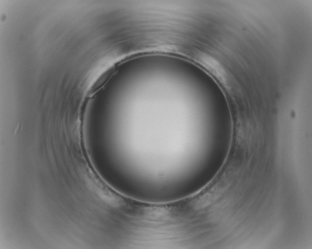 X0000089711332200706211333