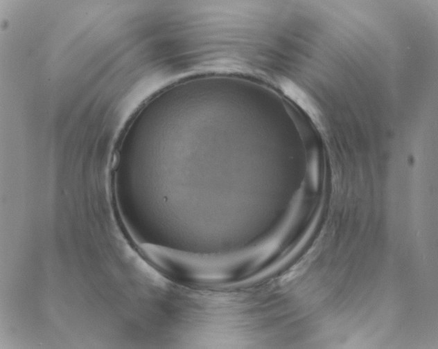 X0000089711334200706211333