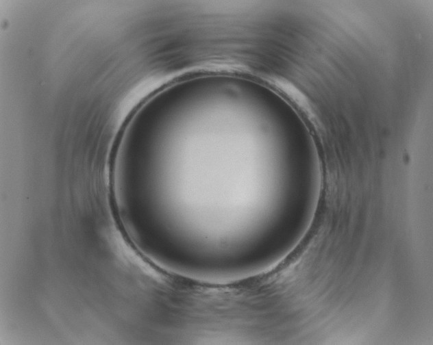 X0000089711335200706211333