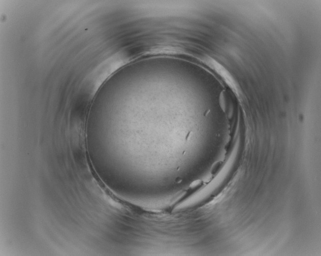 X0000089711337200706211333