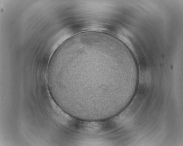 X0000089711338200706211334