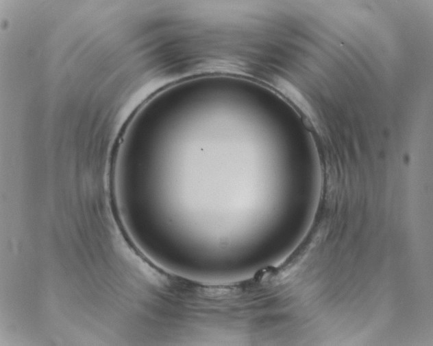 X0000089711339200706211334