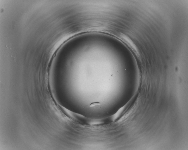 X0000089711340200706211334