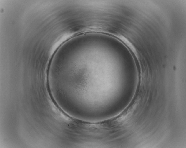 X0000089711341200706211334