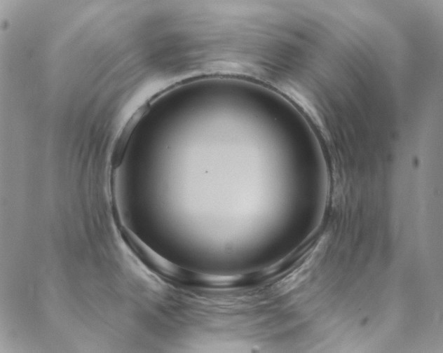 X0000089711342200706211334