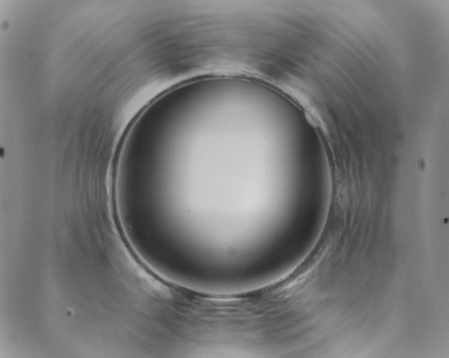 X0000089711343200706211334