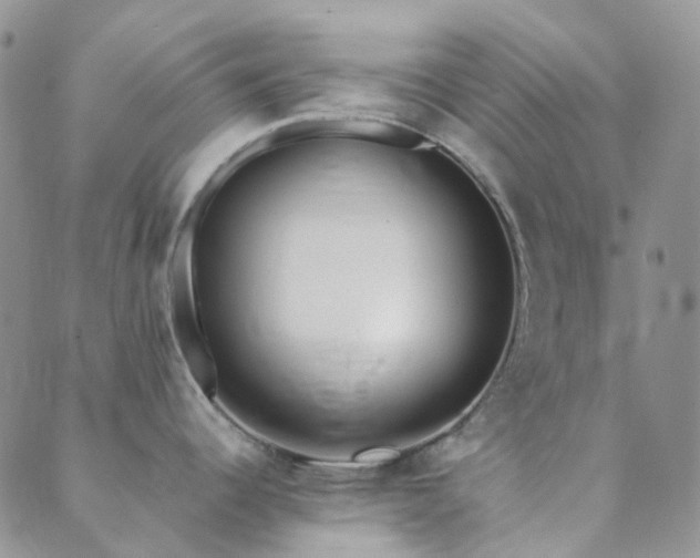 X0000089711344200706211334