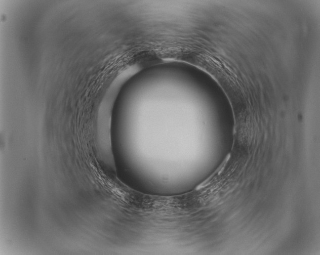 X0000089711345200706211333