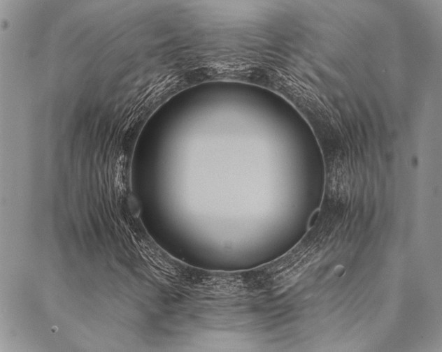 X0000089711346200706211333