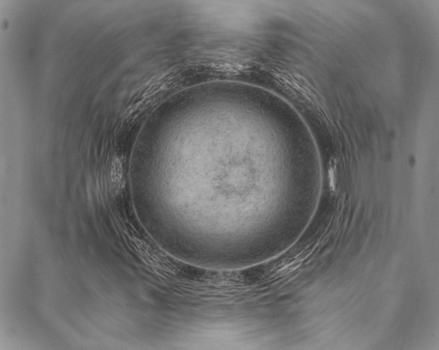 X0000089711347200706211333