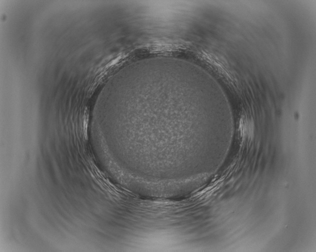 X0000089711348200706211333