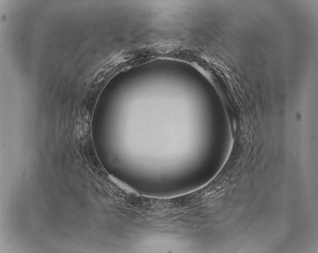 X0000089711349200706211333