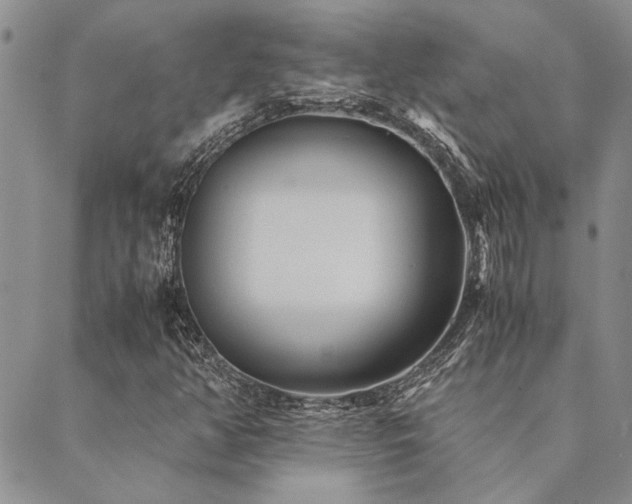 X0000089711350200706211333