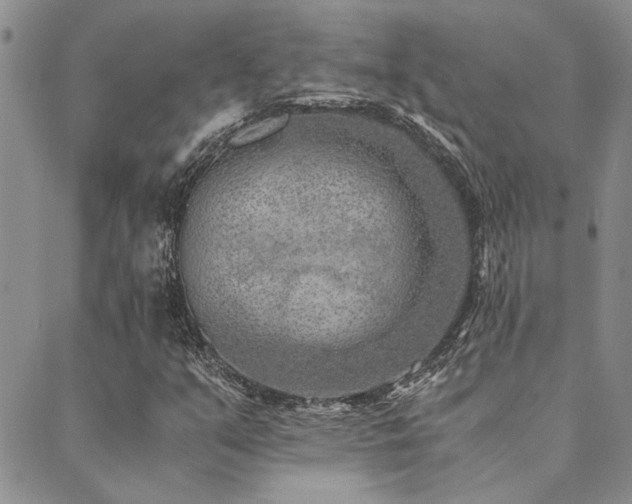 X0000089711351200706211333