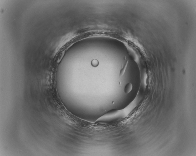 X0000089711352200706211333