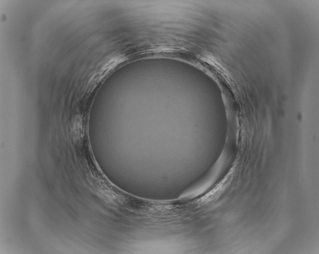 X0000089711353200706211333