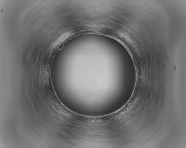 X0000089711354200706211333