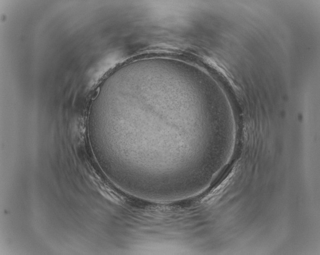 X0000089711355200706211333