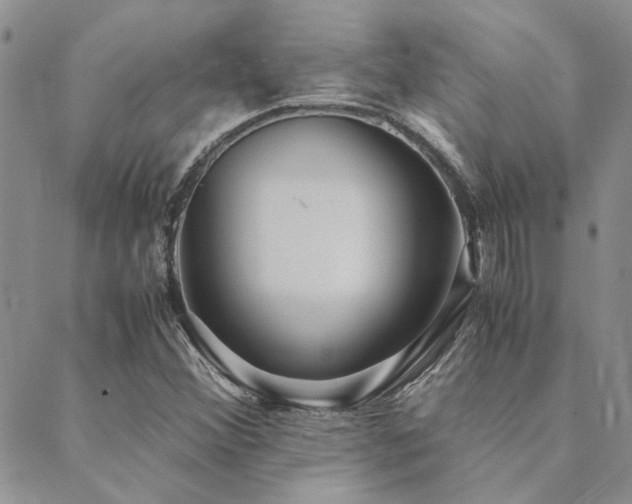 X0000089711356200706211333