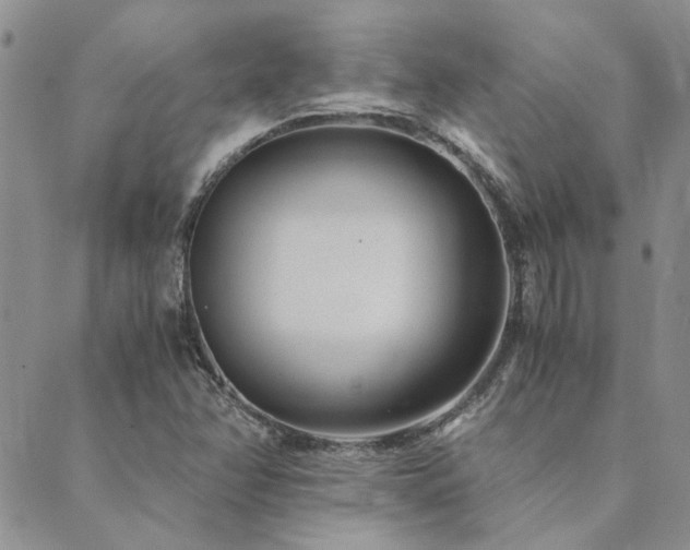 X0000089711358200706211333