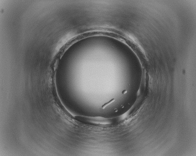 X0000089711360200706211333