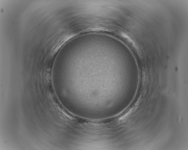 X0000089711361200706211333