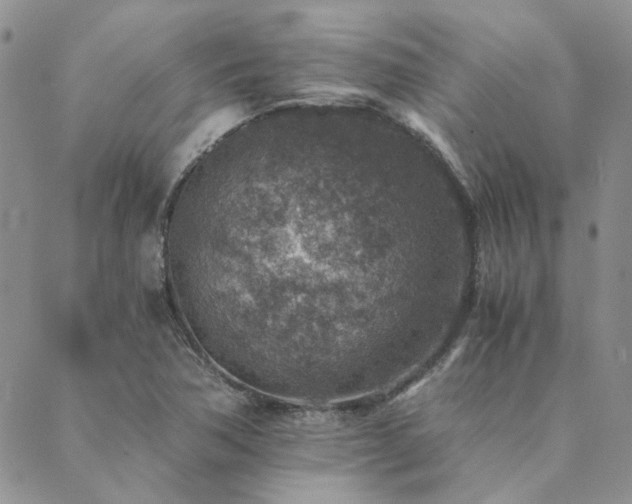 X0000089711362200706211333