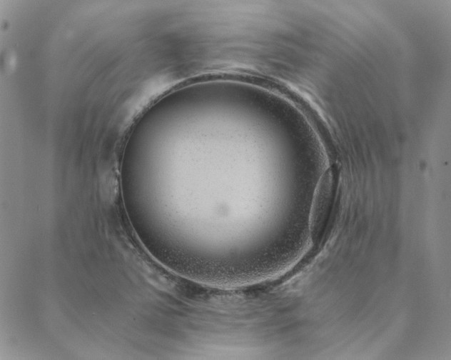 X0000089711363200706211333