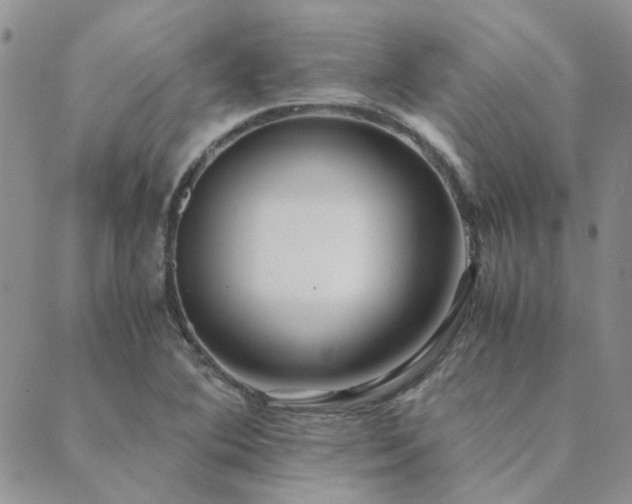 X0000089711364200706211333