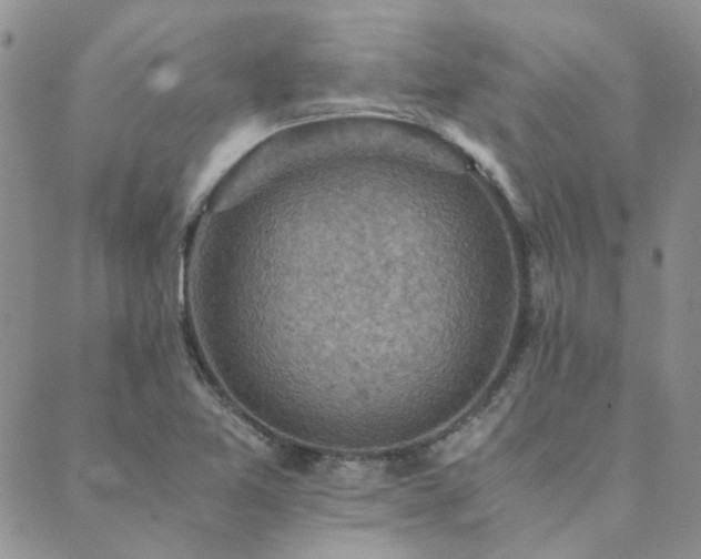 X0000089711365200706211332