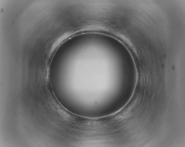 X0000089711366200706211332