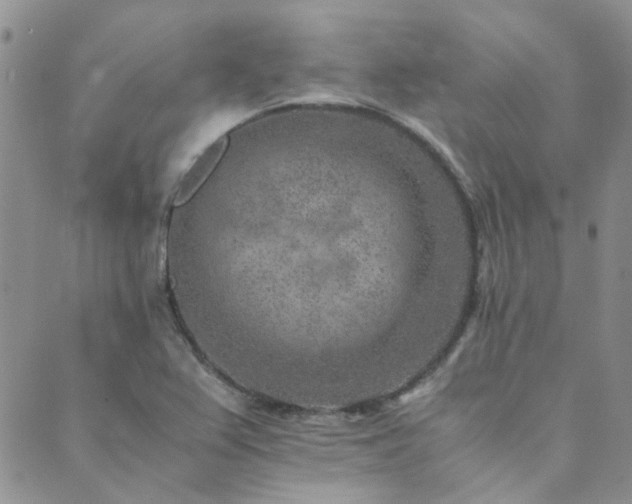 X0000089711367200706211332