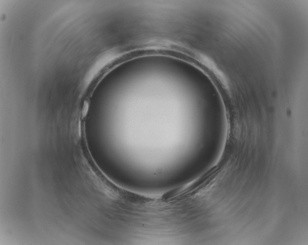 X0000089711368200706211332